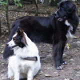 Nikki und Letti